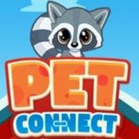 Image for Pet Connect game