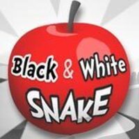 Image for Black and white snake game