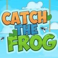 Image for Catch The Frog game