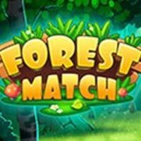 Image for Forest Match game